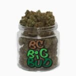 BC Big Bud